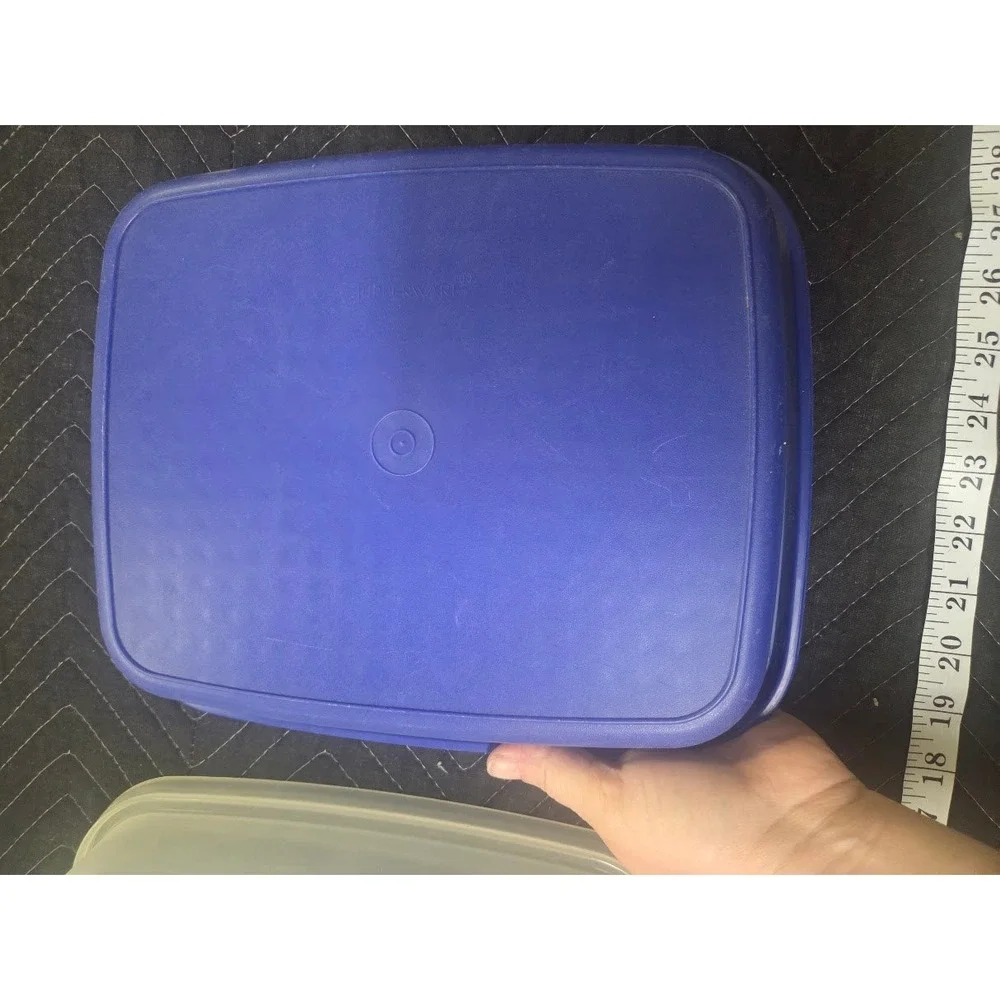 Vintage Tupperware Large Meat Marinade Flip Container Blue 2 Piece